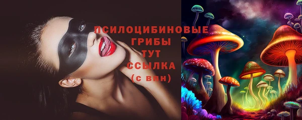 PSILOCYBIN Алексин