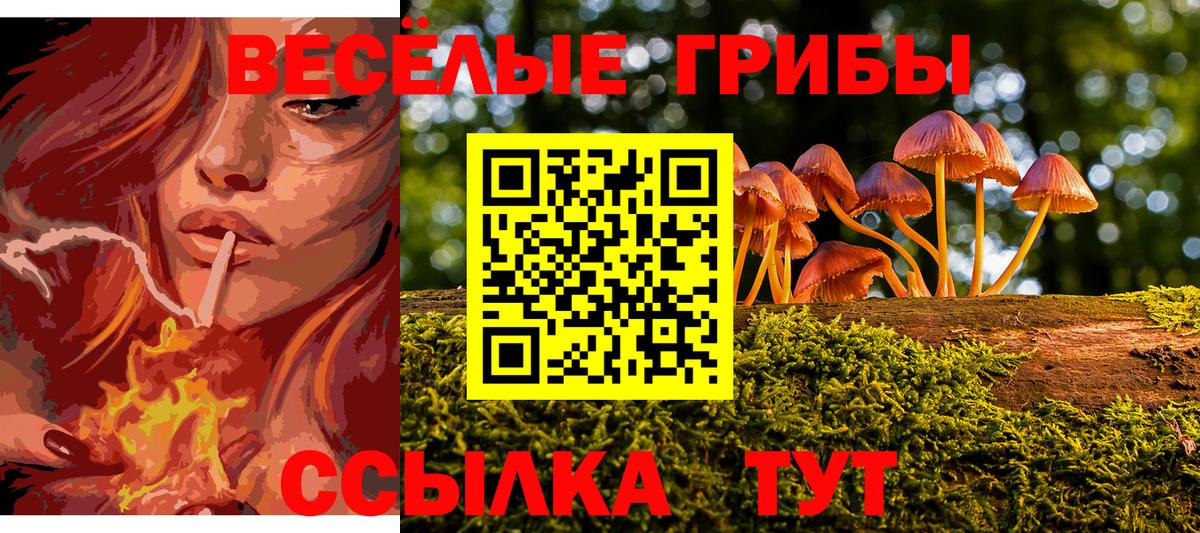 Псилоцибиновые грибы GOLDEN TEACHER Биробиджан