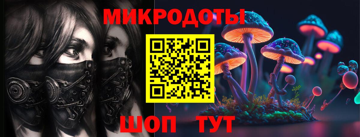 Псилоцибиновые грибы Psilocybe  Галлюциногенные грибы GOLDEN TEACHER  Биробиджан  Вход с VPN 