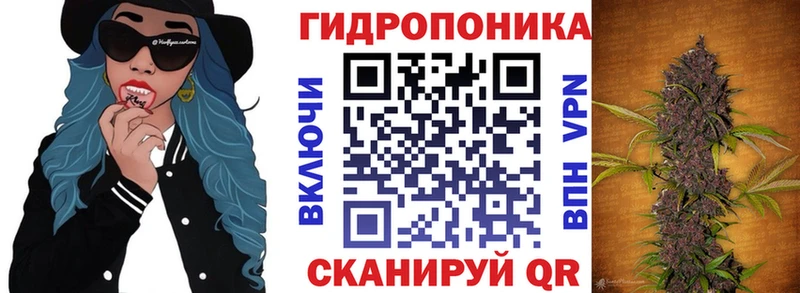 OMG рабочий сайт Биробиджан Бошки марихуана гибрид